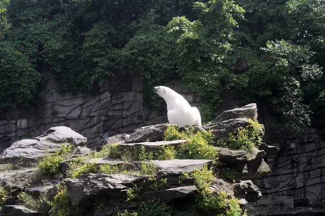 berlin tierpark