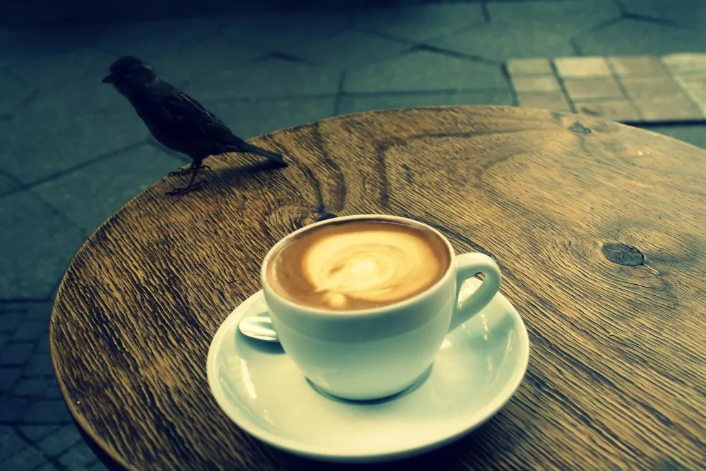 coffee with vilja