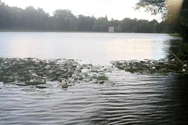 dessau-wörlitz garden realm