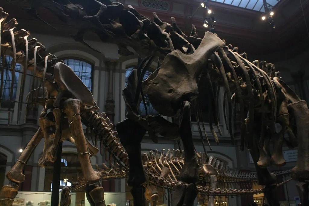 museum für naturkunde