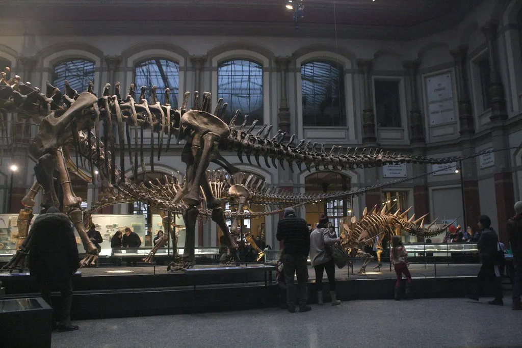 museum für naturkunde