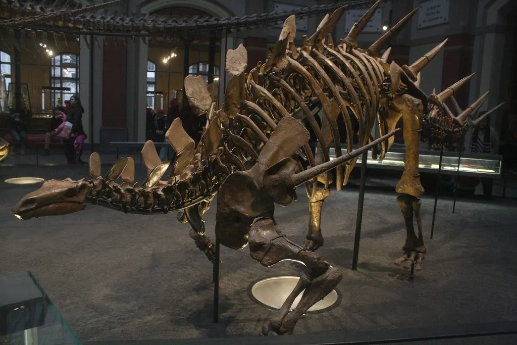 museum für naturkunde