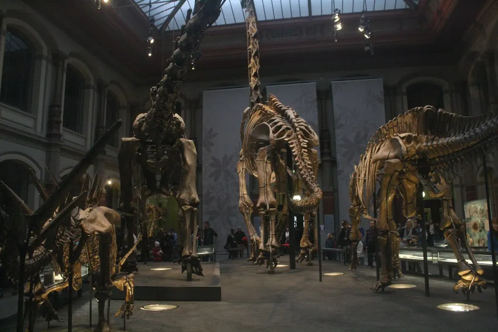 museum für naturkunde