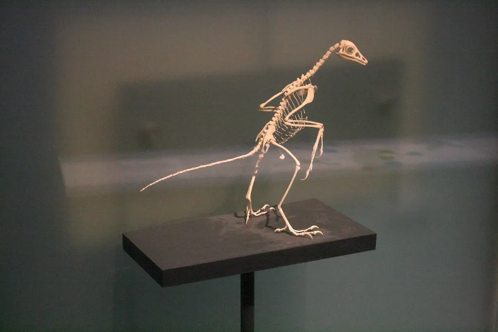 museum für naturkunde