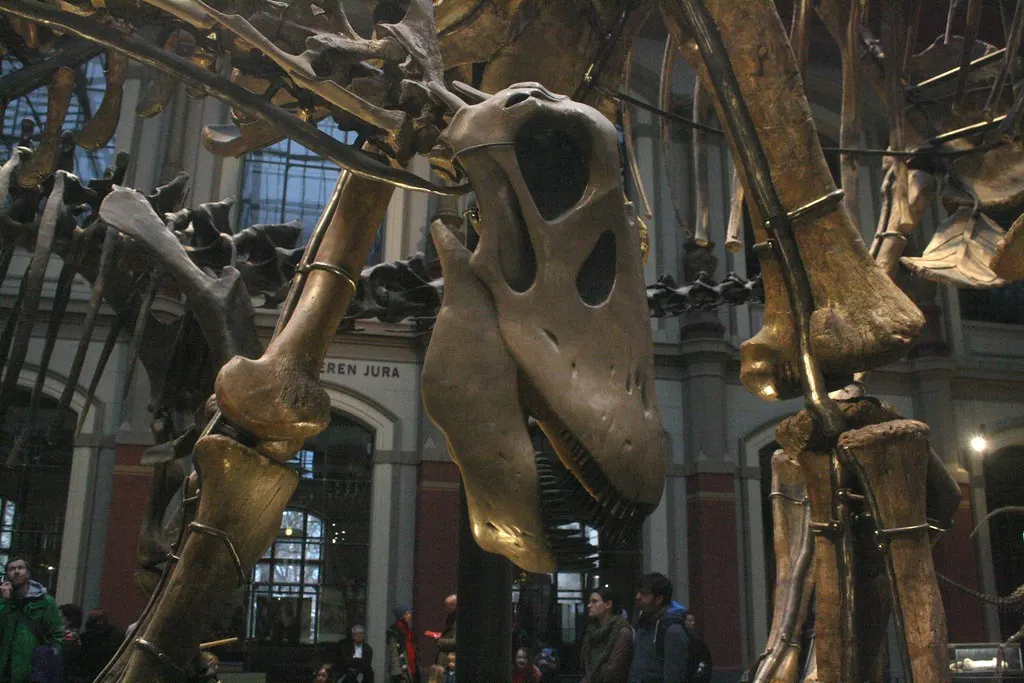 museum für naturkunde