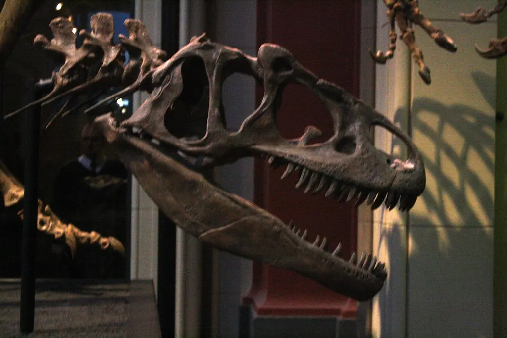 museum für naturkunde