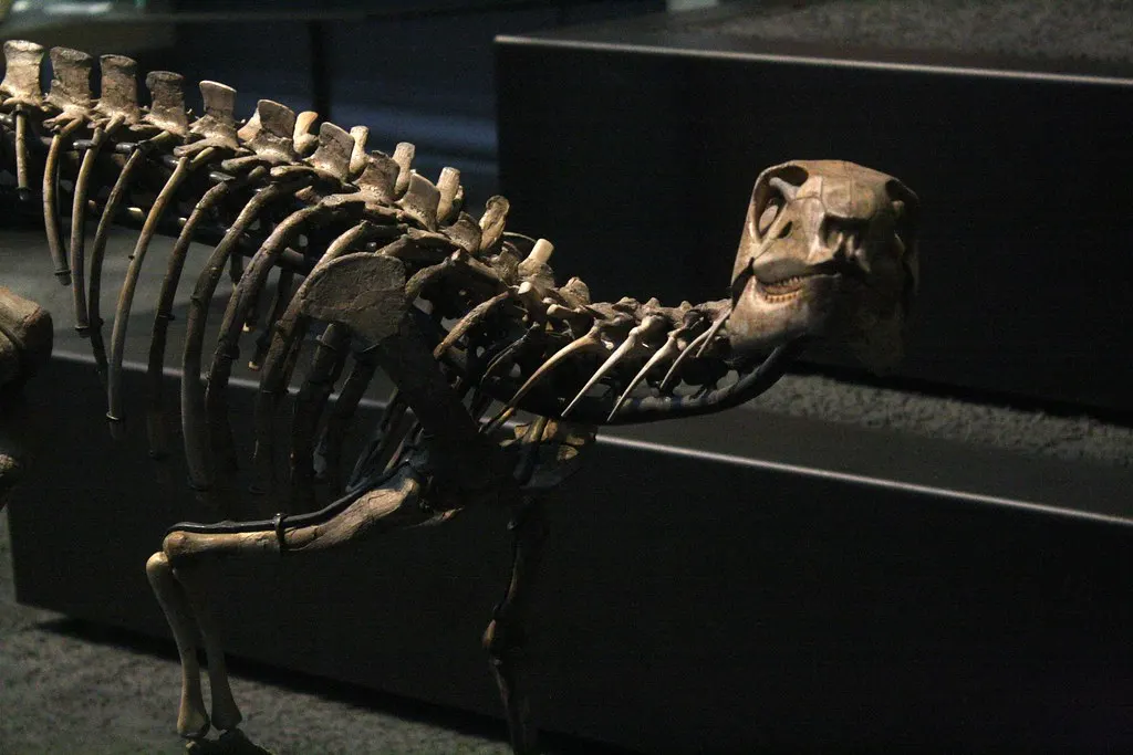 museum für naturkunde