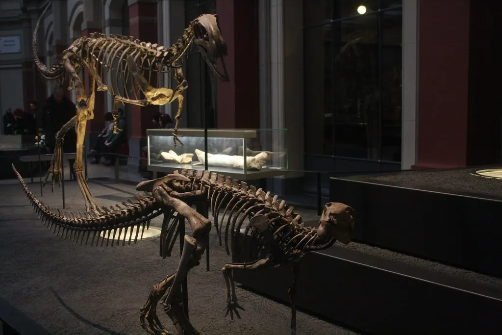 museum für naturkunde