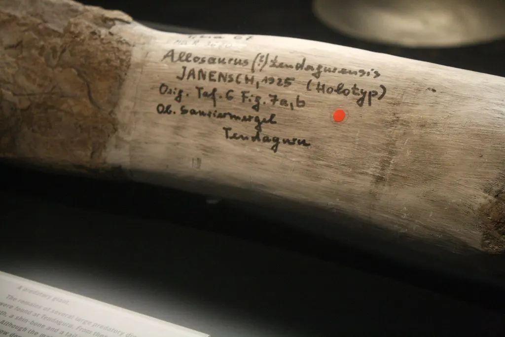 museum für naturkunde