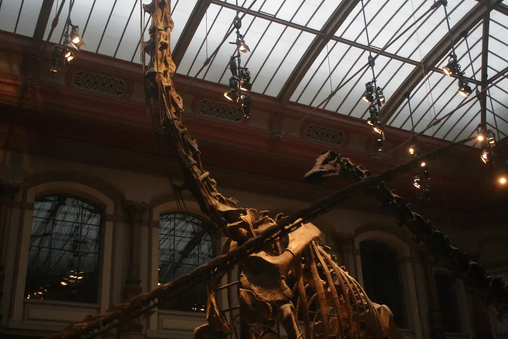 museum für naturkunde