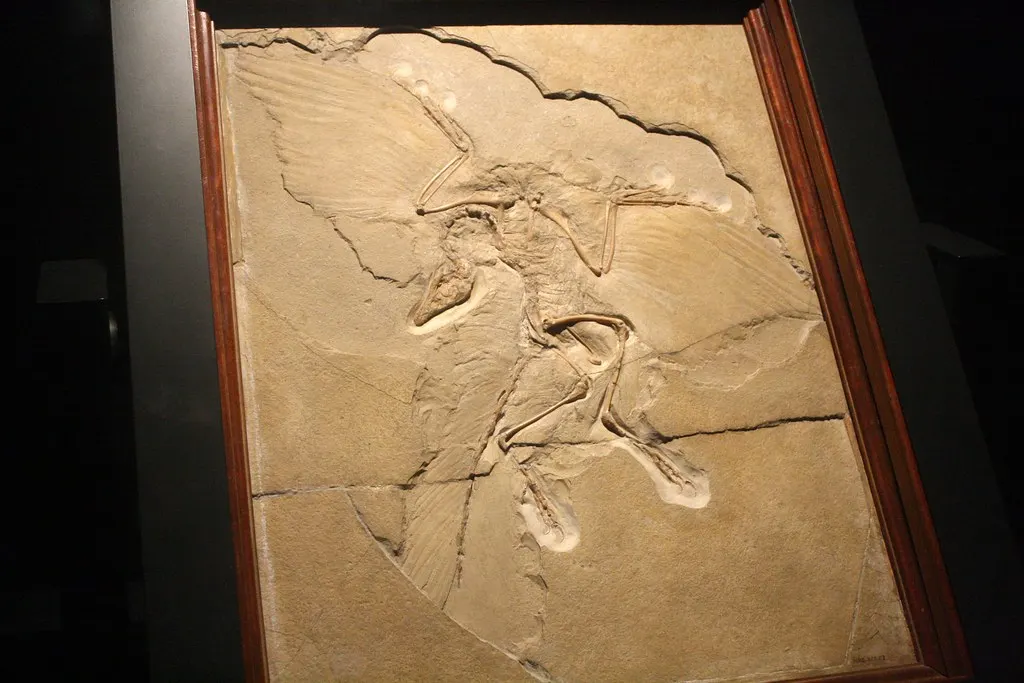 museum für naturkunde