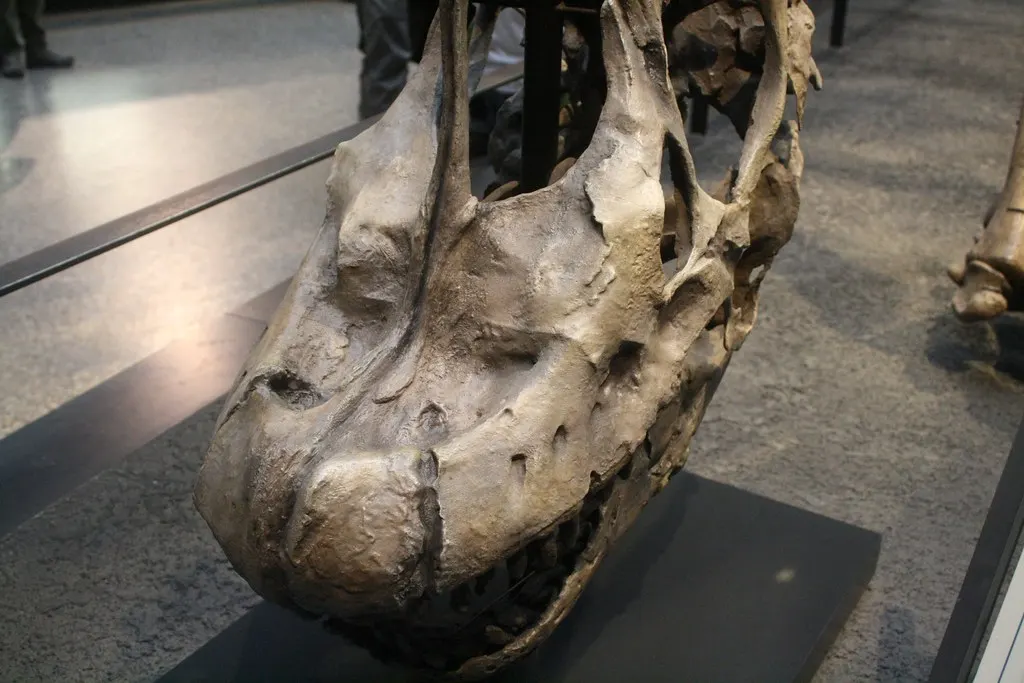 museum für naturkunde