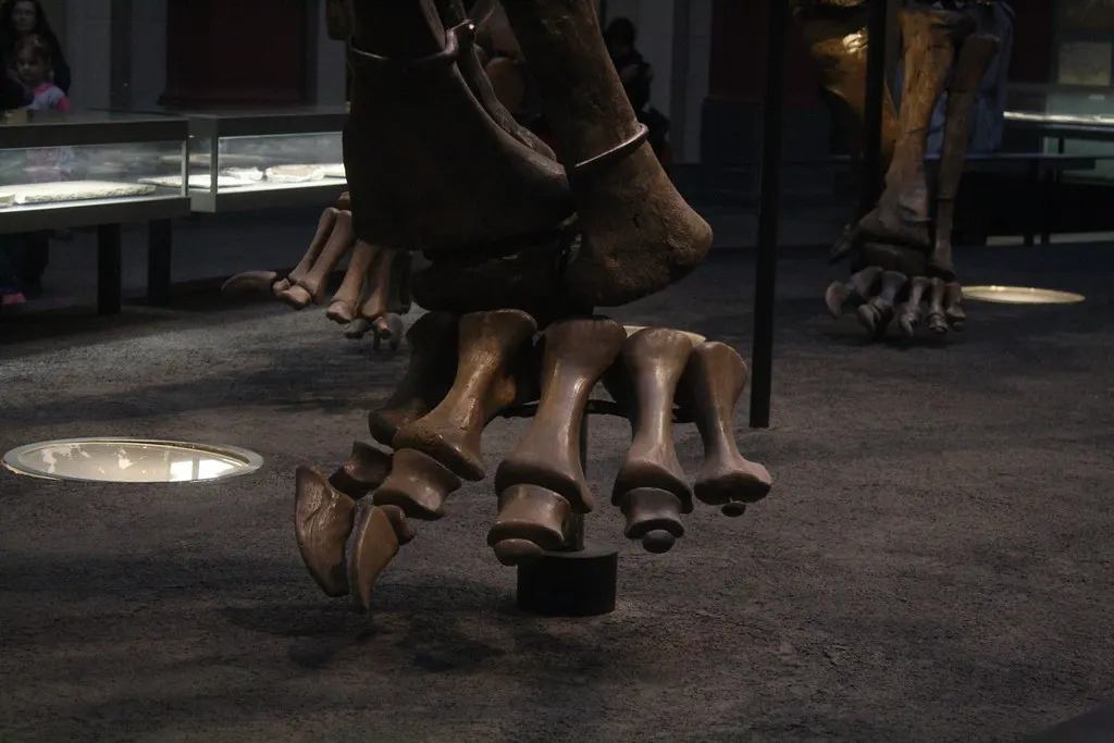 museum für naturkunde
