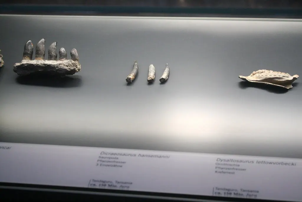 museum für naturkunde