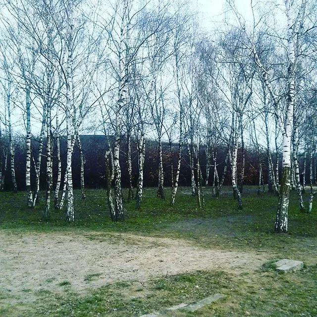 instagram!