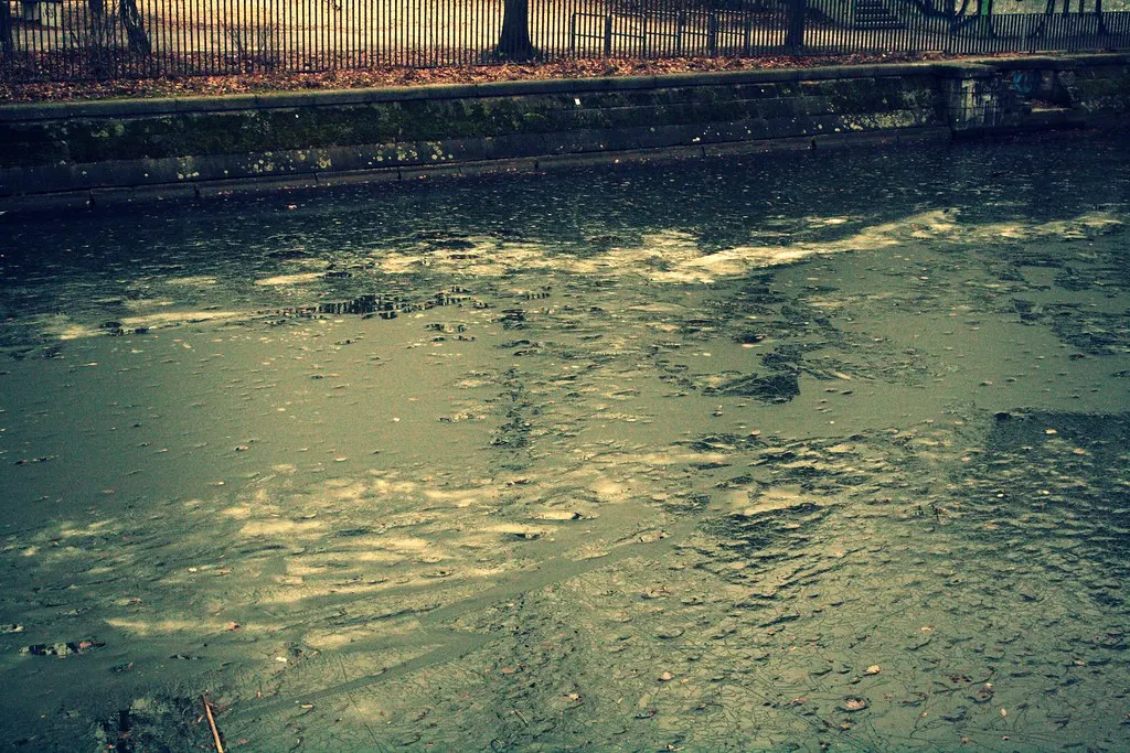 first of february