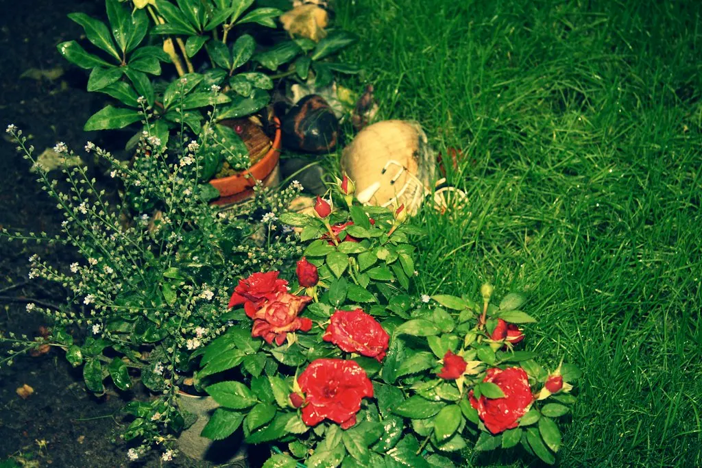 friedhof der dorotheenstädtischen und friedrichswerderschen gemeinden