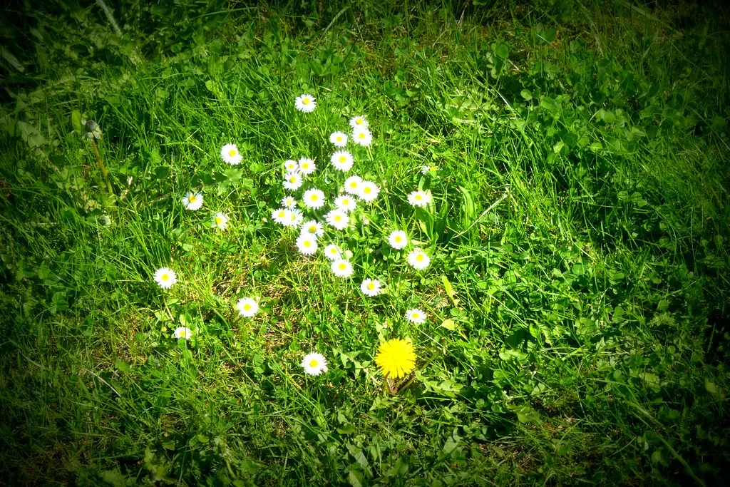 gartenstadt falkenberg (05.05.13)