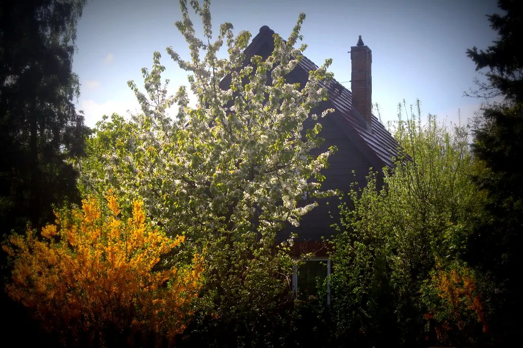 gartenstadt falkenberg (05.05.13)