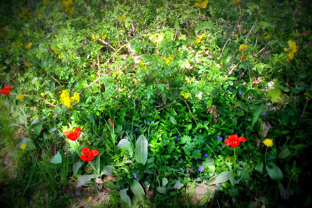 gartenstadt falkenberg (05.05.13)