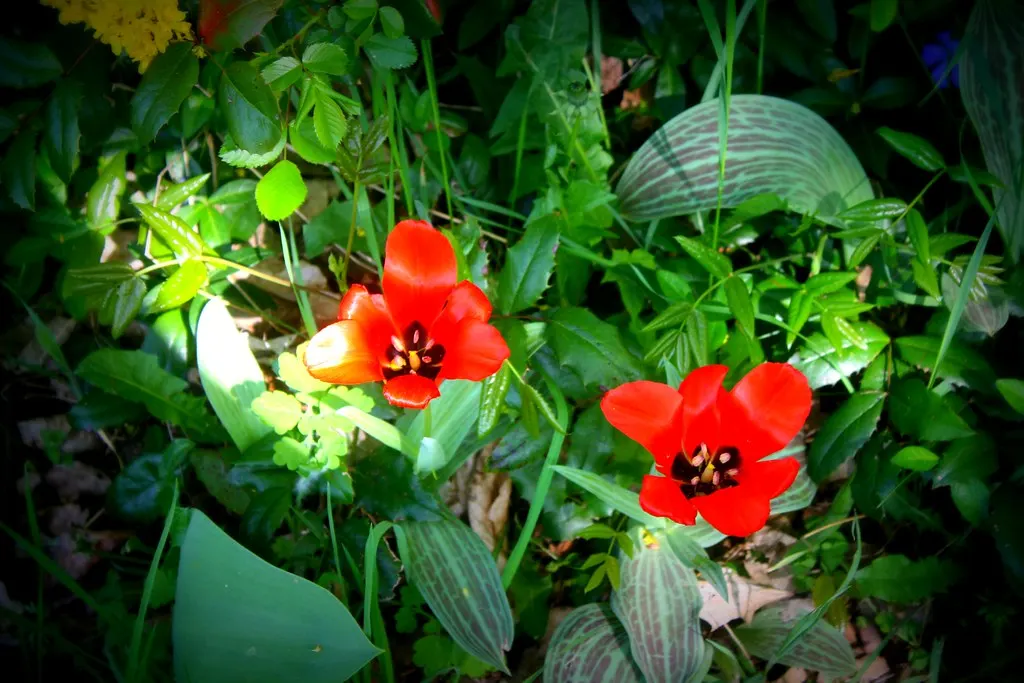 gartenstadt falkenberg (05.05.13)