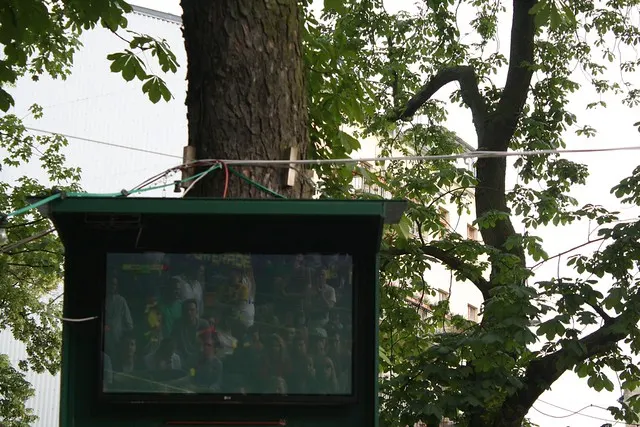 germany v. portugal at prater