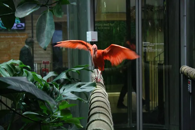 universeum