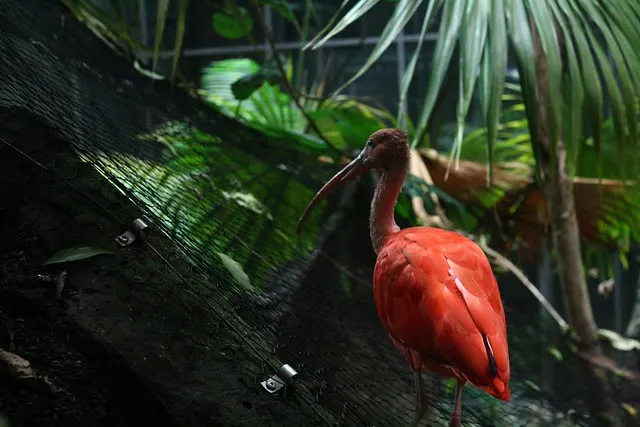 universeum