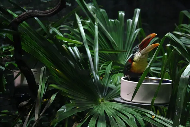 universeum