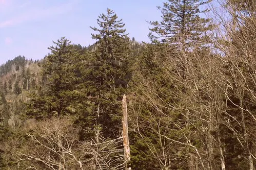 great smoky mountains national park