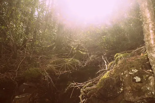 great smoky mountains national park