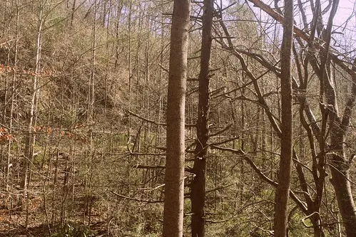 great smoky mountains national park
