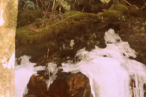 great smoky mountains national park