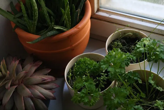 green living