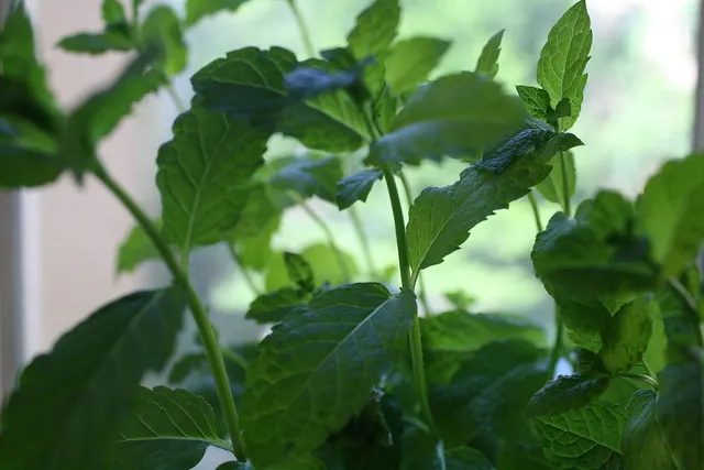 green living