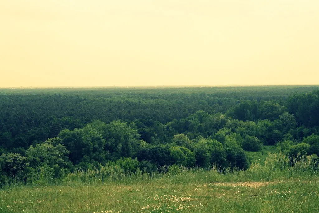 grunewald, not grünewald