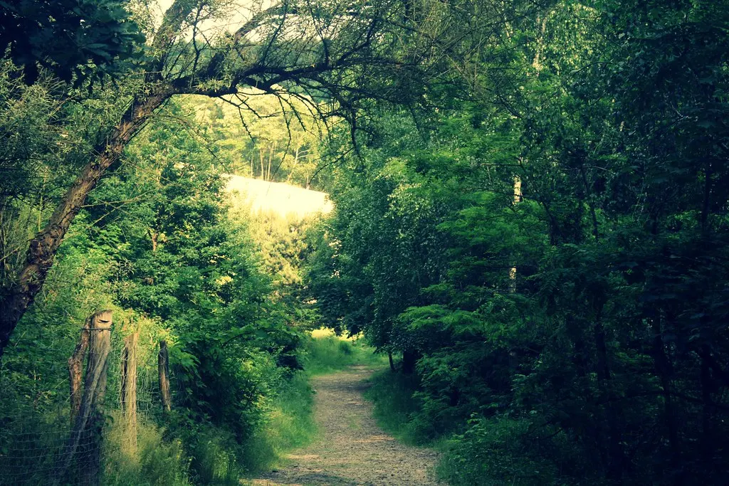 grunewald, not grünewald