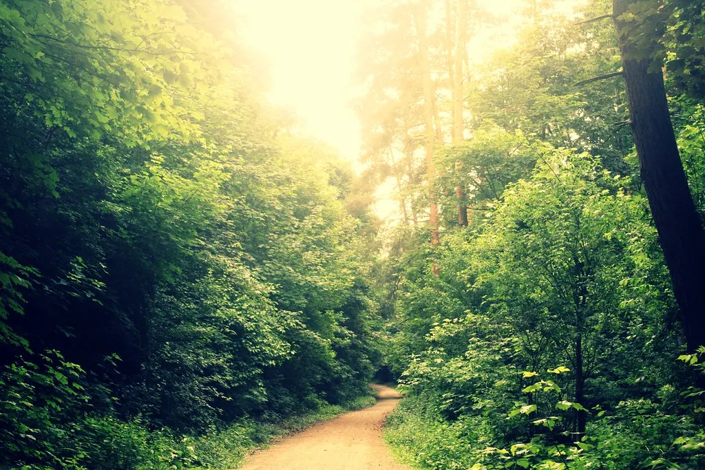 grunewald, not grünewald
