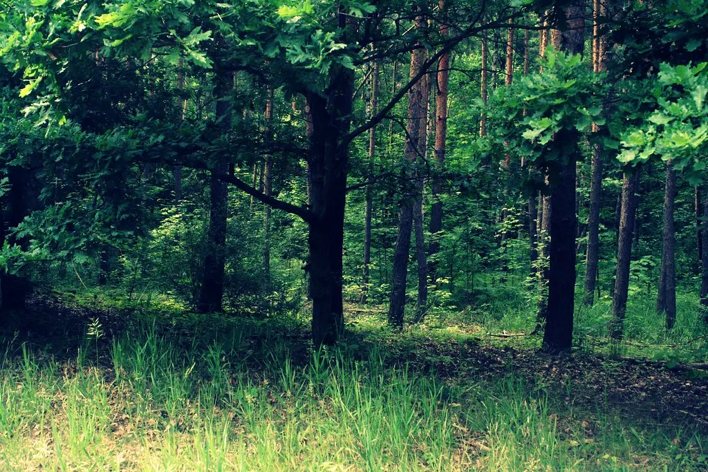 grunewald, not grünewald