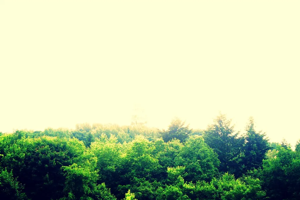 grunewald, not grünewald