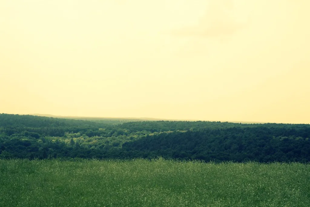 grunewald, not grünewald