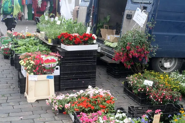 helsinki