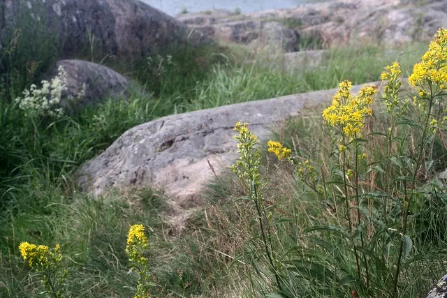 helsinki