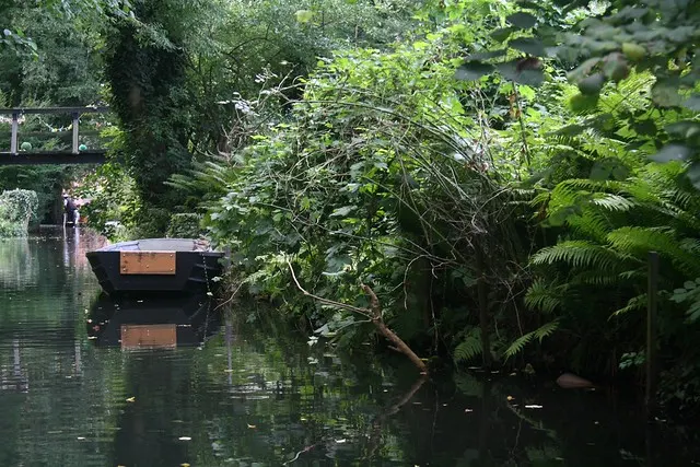 anniversary in spreewald