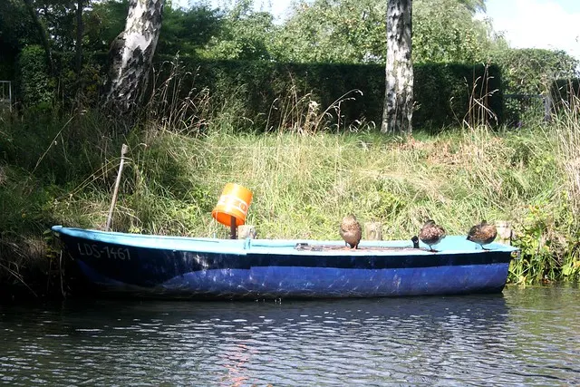 anniversary in spreewald