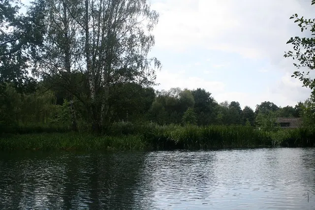 anniversary in spreewald