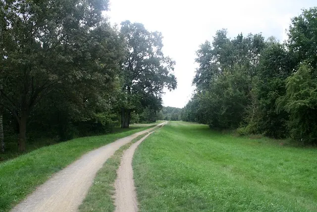 anniversary in spreewald