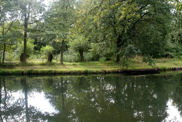anniversary in spreewald
