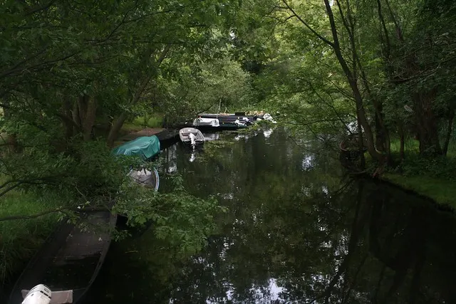 anniversary in spreewald