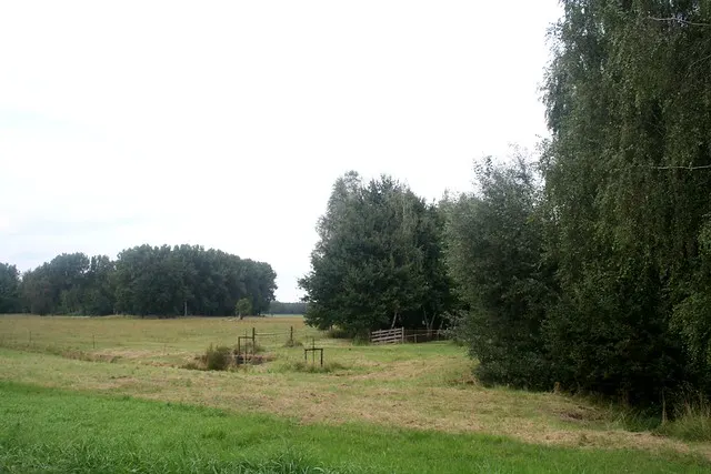 anniversary in spreewald